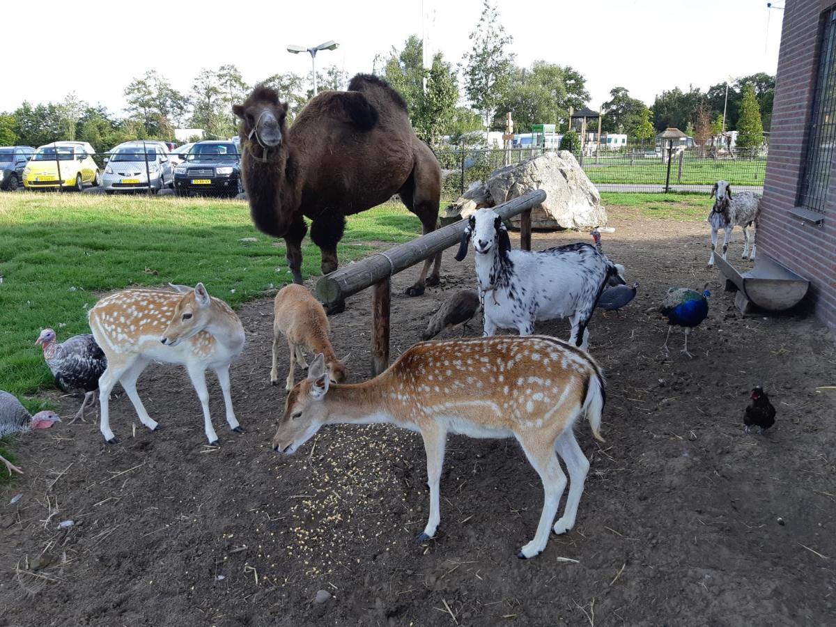 Camping Nieuw Romalo Voorthuizen Luaran gambar