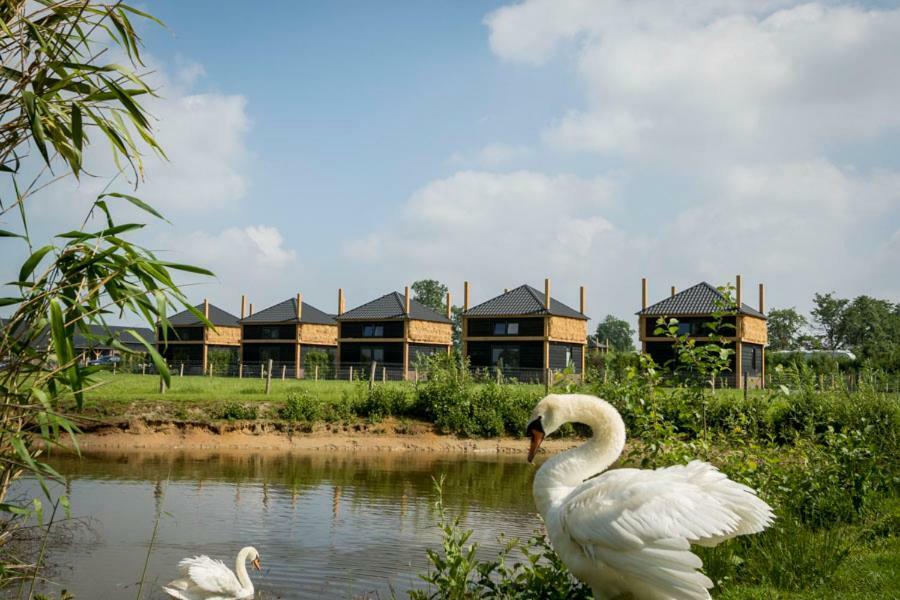 Camping Nieuw Romalo Voorthuizen Luaran gambar